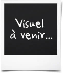 SAMSUNG MG23T5018CK Mikrowellengrill - Schwarz - 23 L - Freistehend -Küchen Profi 17acac3ef4e78ca6edfda9c0412ab1d3