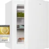 Exquisit Mini Gefrierschrank GB60-150E WeissPV | 42 L Volumen | EEK: E | Weiß -Küchen Profi 8f3bd3b73b040d369bd23227572ffde2