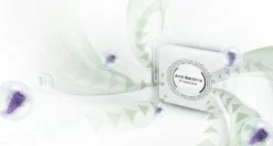 Samsung Kühl-Gefrierkombination 530L NoFrost Wasserspender Edelstahl Twin Cooling Convertible-Technologie RT53K6530SL -Küchen Profi 93f22046b2bdacb2951e3091965574ac