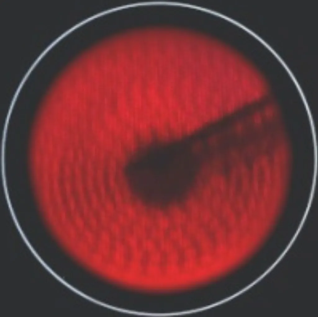 KF-IX-2F Glaskeramik Doppelkochplatte Edelstahl 230V Autark 2 Einbau 8 KF-IX-2F Glaskeramik Doppelkochplatte Edelstahl 230V Autark 2 Einbau – Bild 6